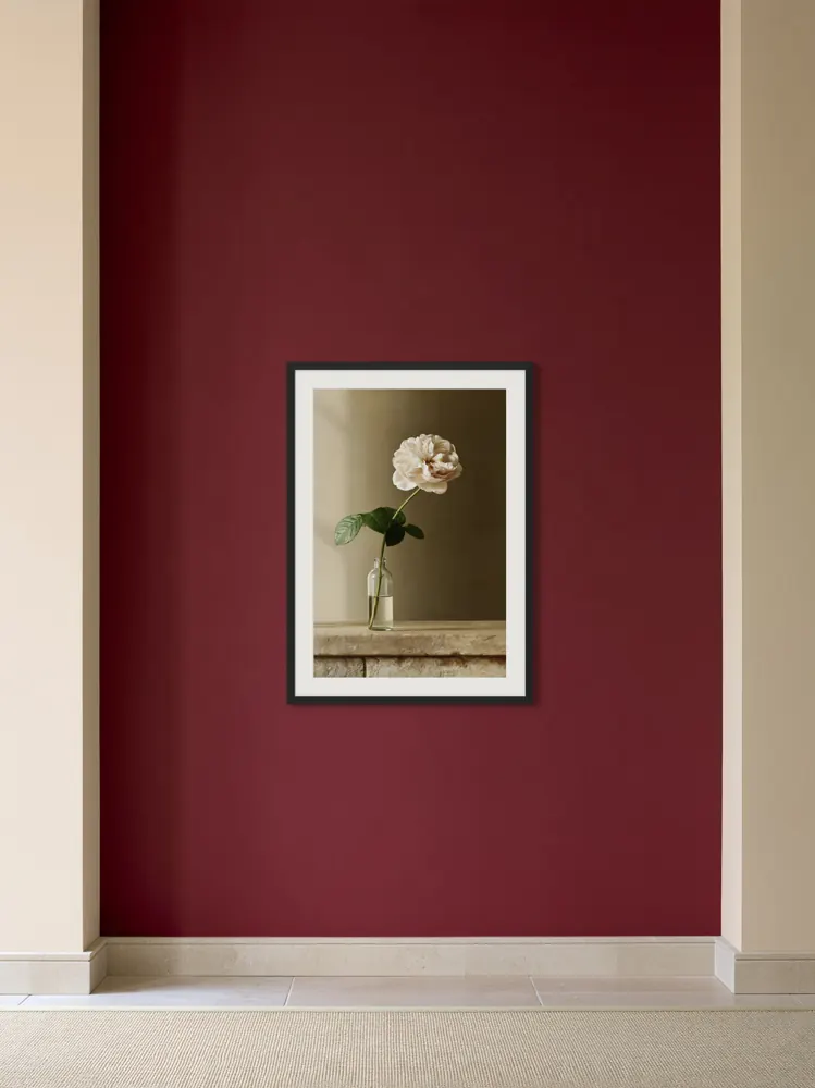 A garden rose still life as a black framed print with a white mat in the Burgundy corridor end wall