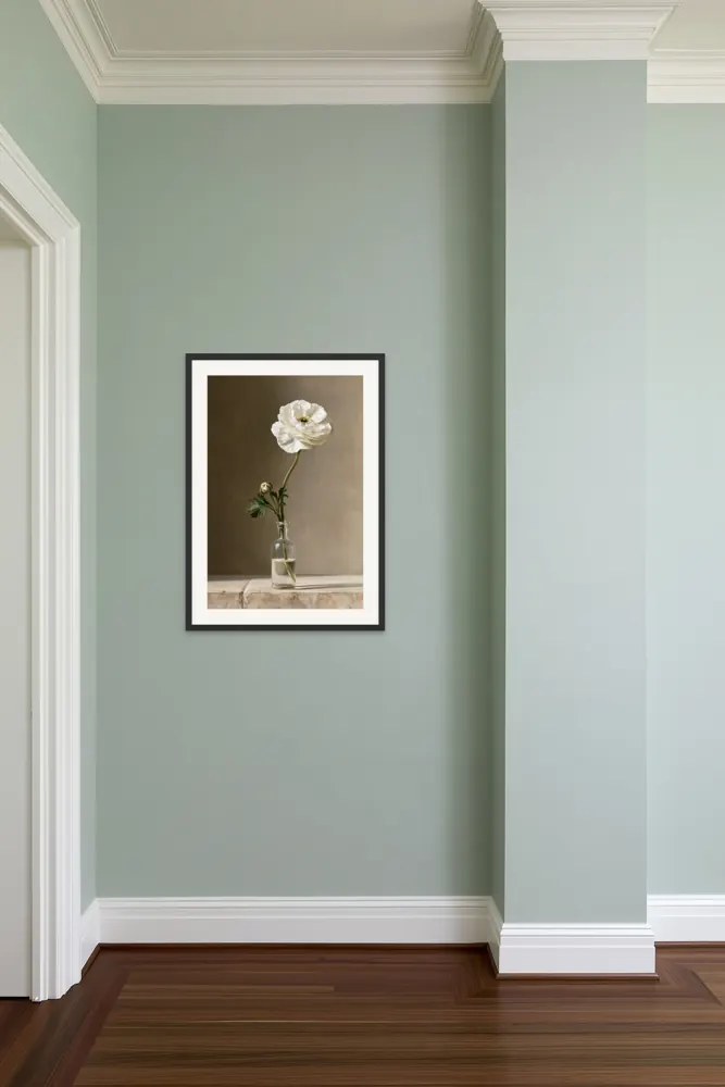 Celadon entry niche