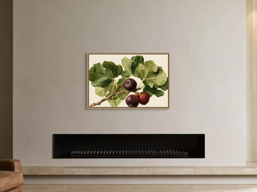 A watercolour fig botanical as a natural oak floating-frame canvas in the Contemporary black firebox