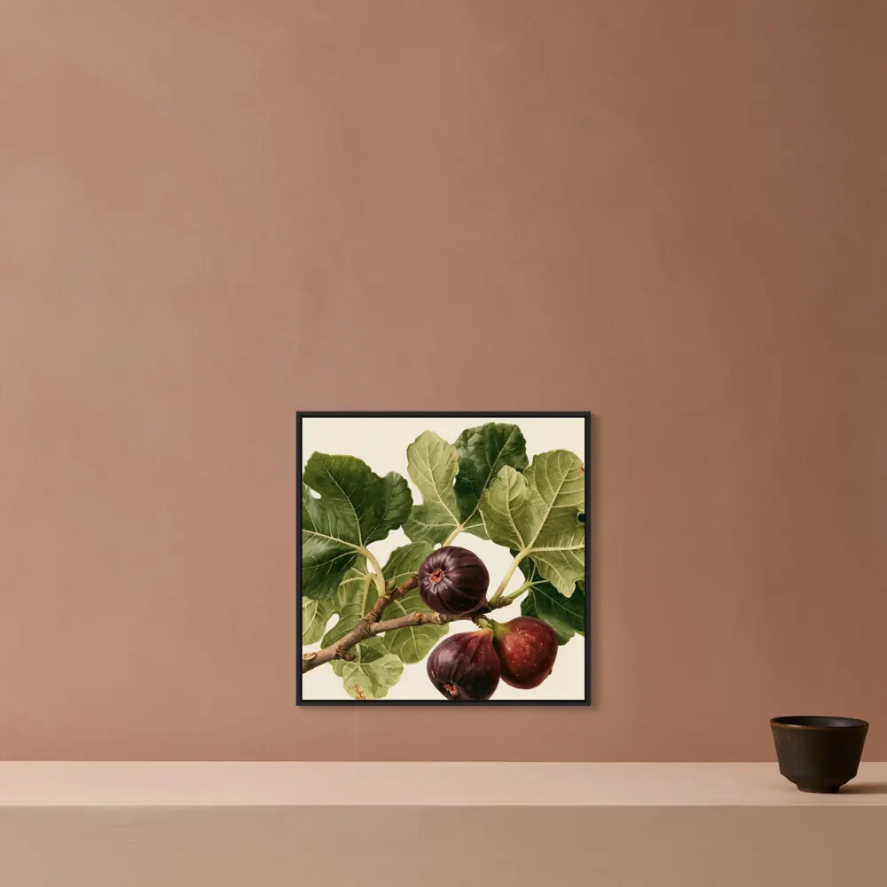 A watercolour fig botanical as a black floating-frame canvas in the Dusty coral plaster wall