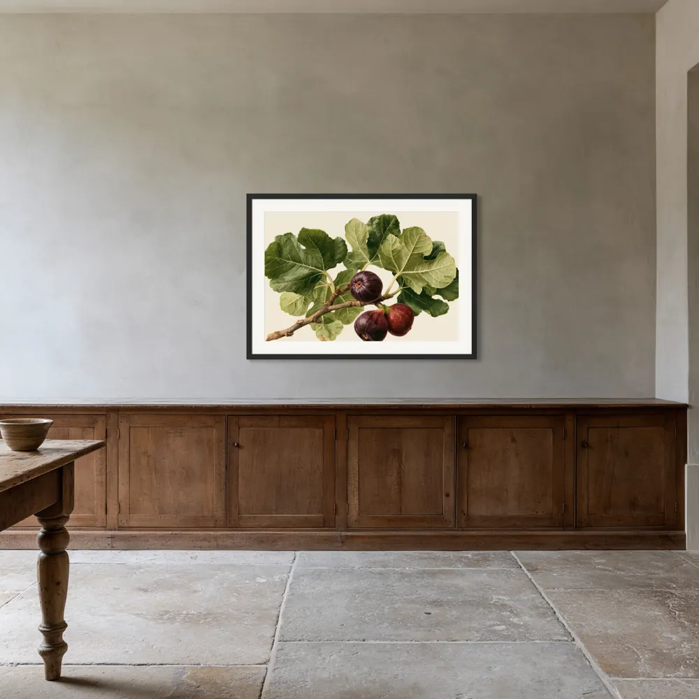 A watercolour fig botanical as a black framed print with a white mat in the English country dresser