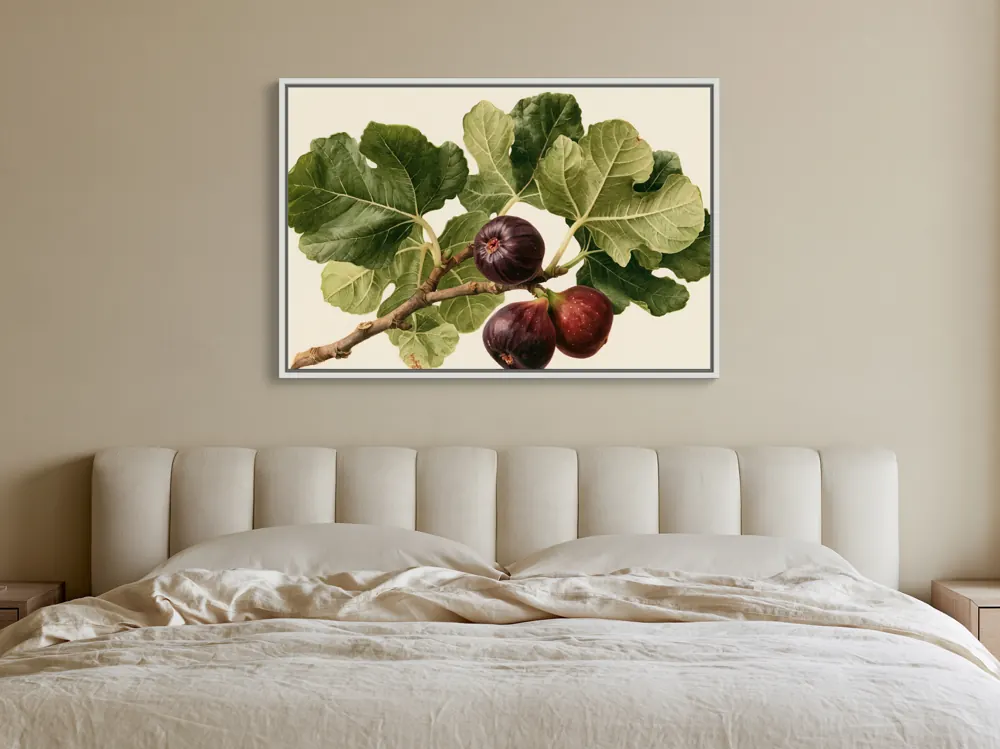 A watercolour fig botanical as a white floating-frame canvas in the Farmhouse bedroom