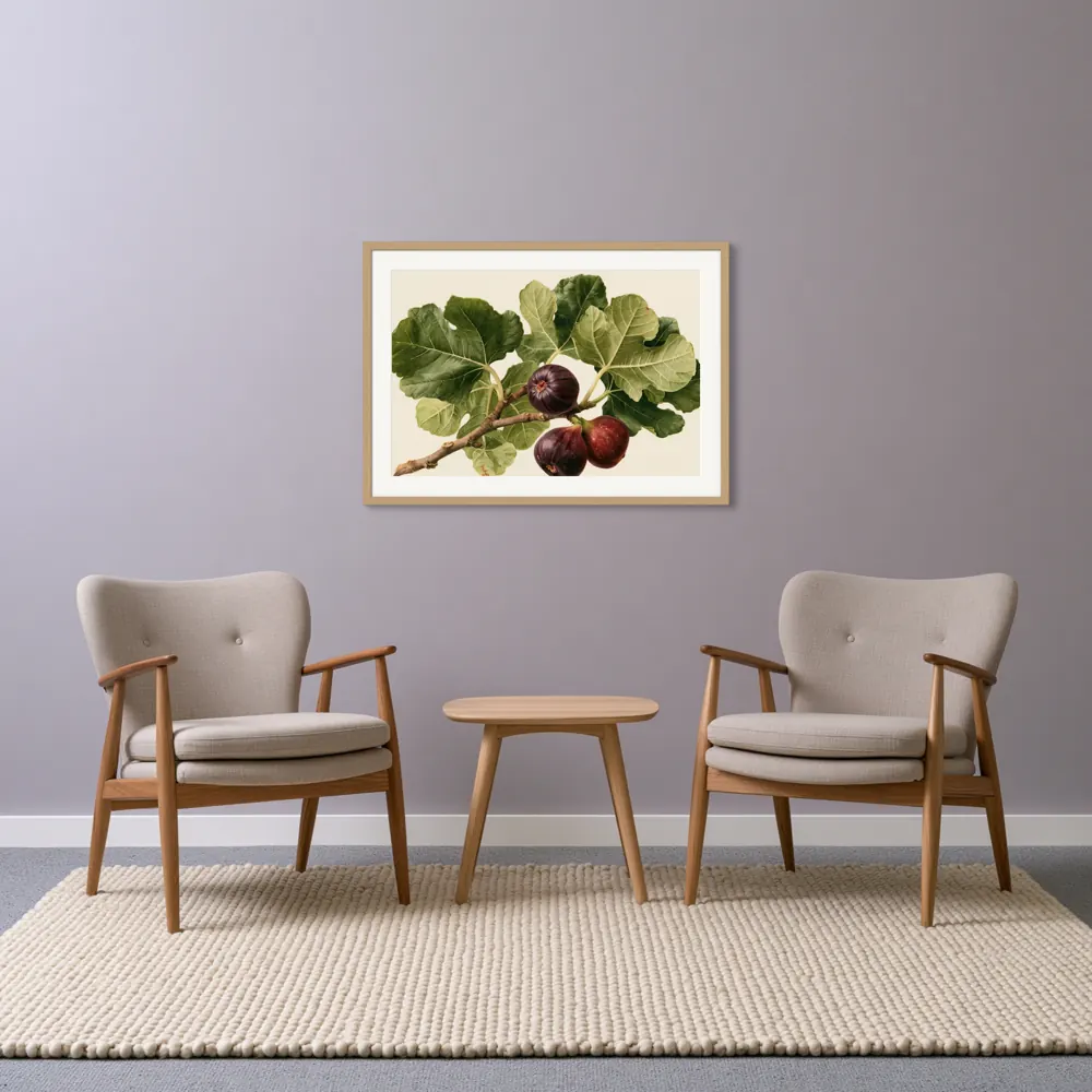A watercolour fig botanical as a natural oak framed print with a white mat in the Lavender paired armchairs