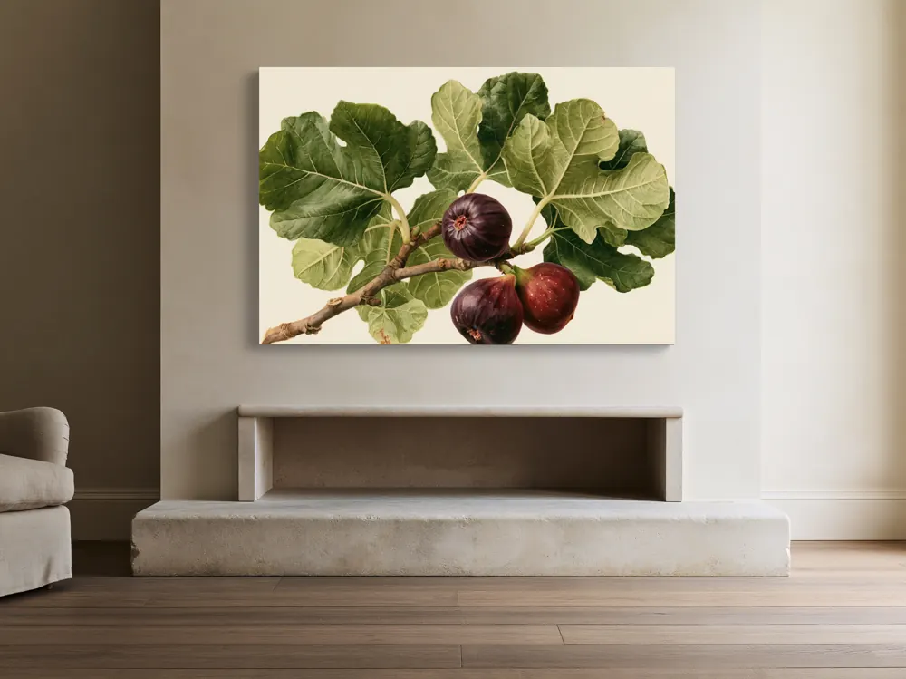 A watercolour fig botanical as a stretched canvas in the Limestone decorative hearth