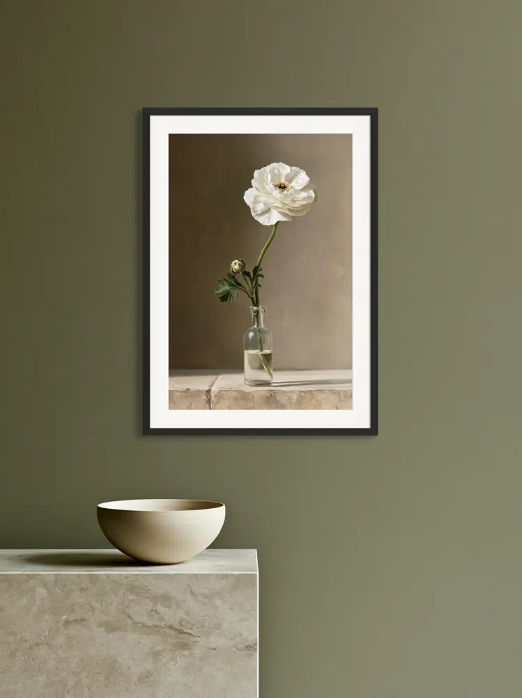 A ranunculus still life as a black framed print with a white mat in the Olive wall and limestone pedestal