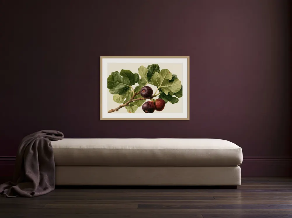 A watercolour fig botanical as a natural oak framed print with a white mat in the Plum quiet reading bench