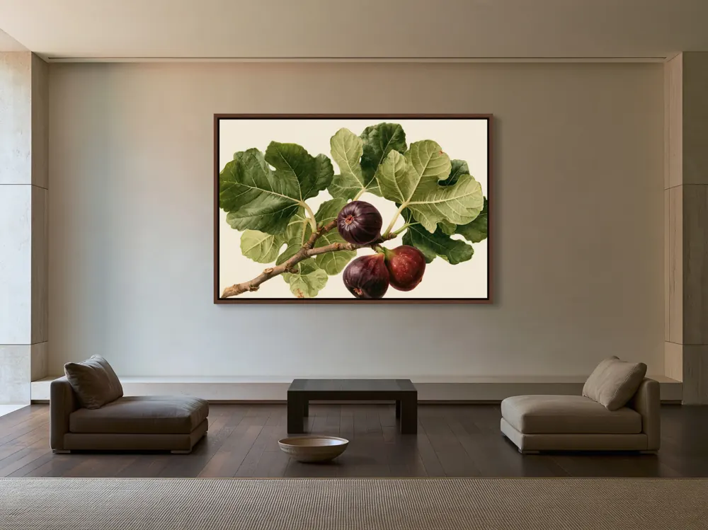 A watercolour fig botanical as a walnut floating-frame canvas in the Private collector gallery