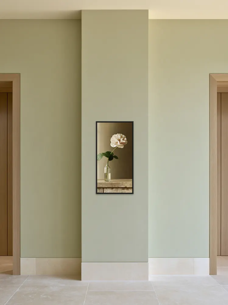 A garden rose still life as a black floating-frame canvas in the Sage tall doorway pier