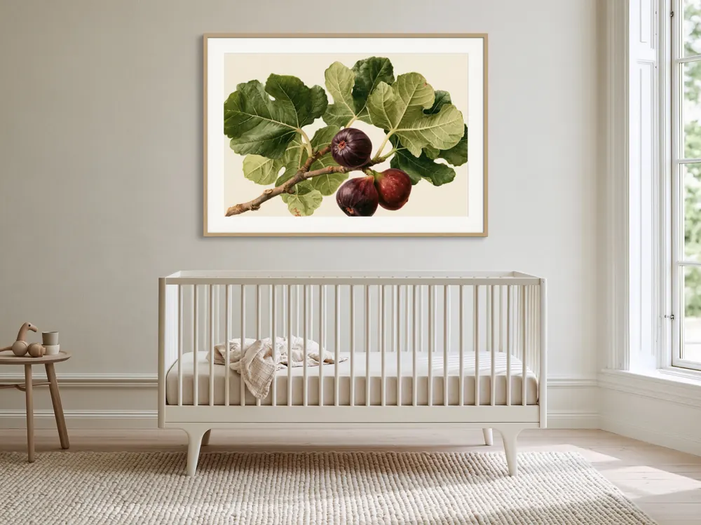 A watercolour fig botanical as a natural oak framed print with a white mat in the Soft daylight nursery