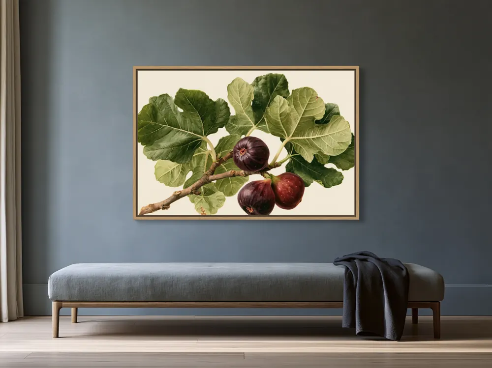 A watercolour fig botanical as a natural oak floating-frame canvas in the Stone-blue daybed