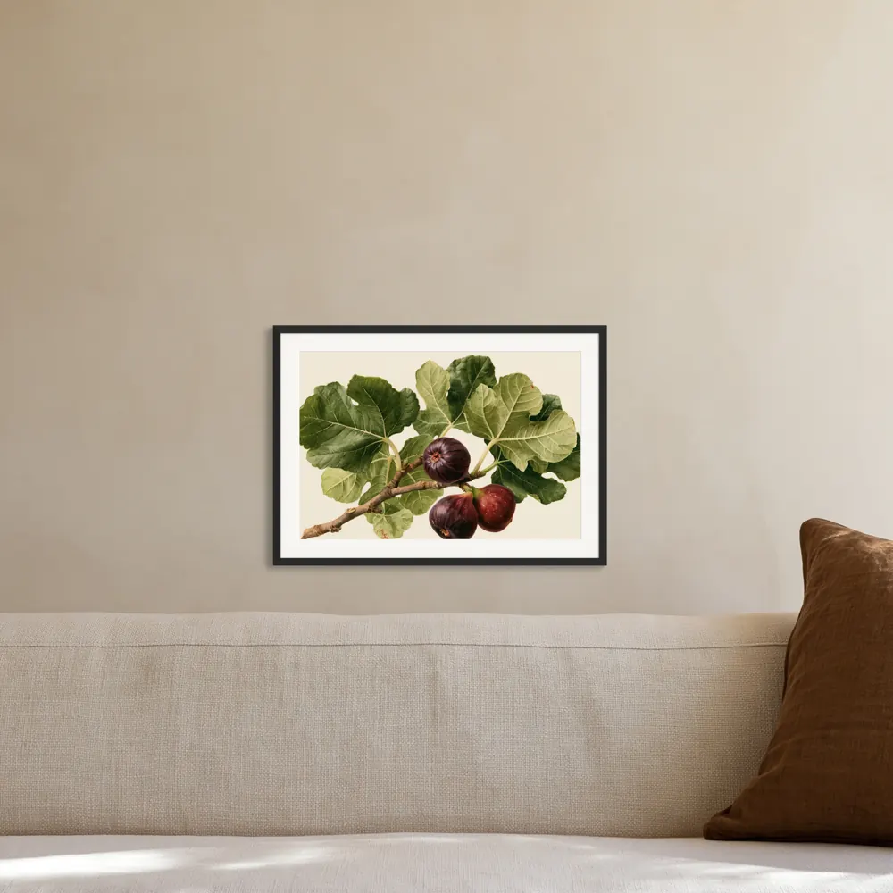 A watercolour fig botanical as a black framed print with a white mat in the Warm linen sofa